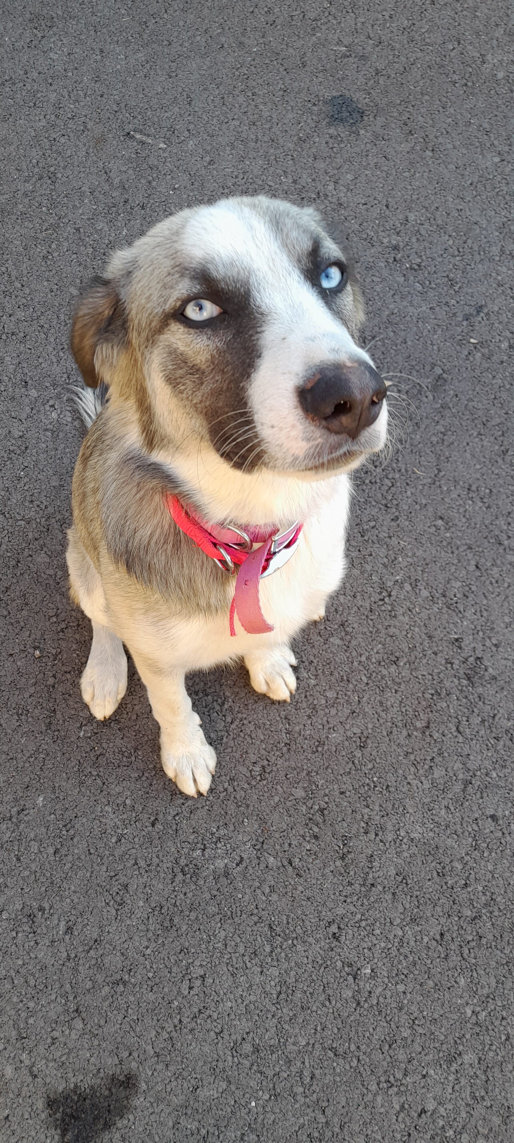 20231001_162416 (1).jpg