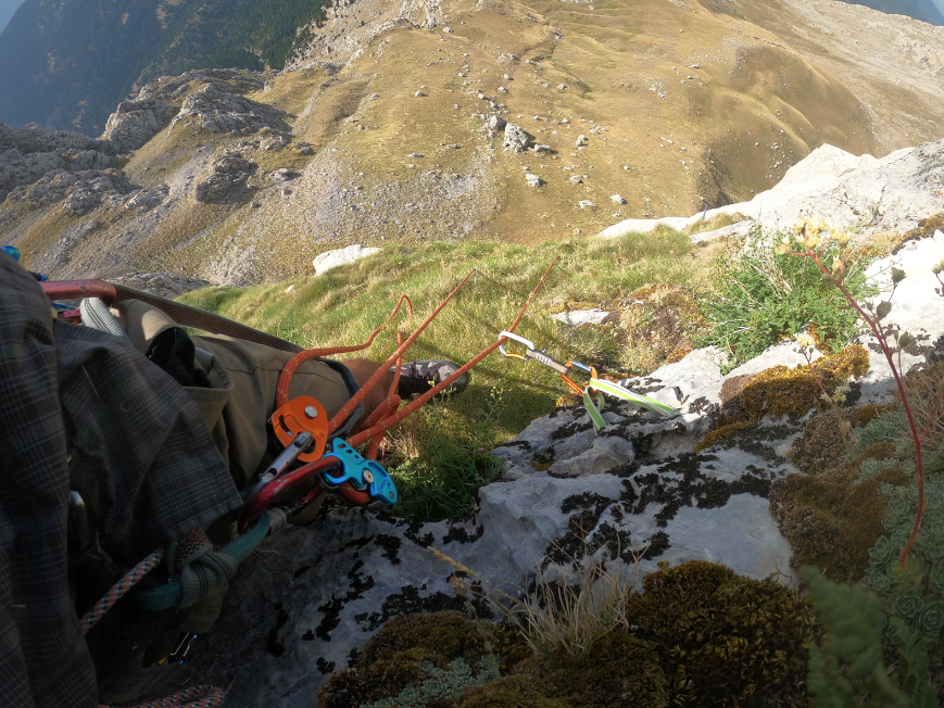 Φτερά των αετών στα κάθετα τα χόρτα